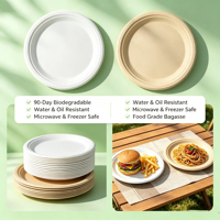 Assiettes jetables rondes en bagasse de 6 pouces, compostables, pour les collations et desserts de fête