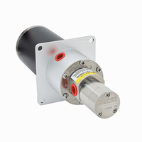 Pompe doseuse industrielle en acier inoxydable 316L, DC24V, à entraînement magnétique, pompe à engrenages, pression 5 bars, qualité alimentaire, pompe pour machine à café