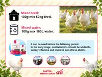 Poudre Premium pour Poulets de Chair : Favorise la Croissance et les Performances – Complément Alimentaire pour Volailles