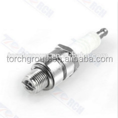 Électrodes à barres parallèles pour bougies d'allumage de moteurs à gaz - Product Image 5