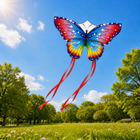 Cerf-volant géant coloré en forme d'étoile et de papillon, léger et très populaire, pour enfants et adultes, idéal pour les activités de plein air et la plage