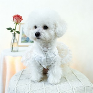Vestido para perros, falda de tul blanca, estilo floral retro para bodas, para perros pequeños y medianos, primavera, verano, cuatro estaciones, poliéster - Product Image 4