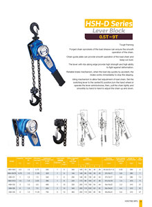 Ròng Rọc Palăng Lift Nhãn Hiệu Thép Không Gỉ Quan Trọng 1 Tấn 3 Tấn 5 Tấn Giá Lever Chain Block 2 Tấn Giá - Product Image 6