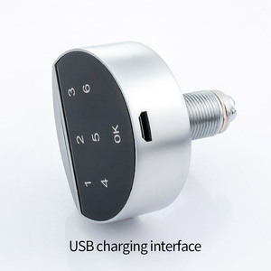 Singapore Tốt Nhất Người Bán Keyless Kỹ Thuật Số Mã Cam Khóa Cho Cửa Gỗ Tủ Hotmail Hộp Thư Kẽm Hợp Kim Bộ Nhớ Thẻ Lưu Trữ Tùy Chọn - Product Image 5