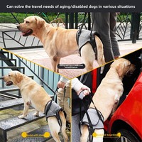 Attelle de hanche pour chien de compagnie, pour la rééducation des chiens âgés blessés