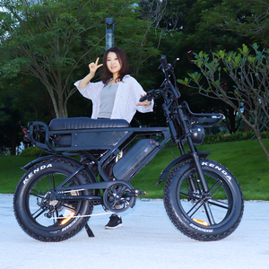 <span class=keywords><strong>Fat</strong></span> Tire E <span class=keywords><strong>Bike</strong></span> C80 Max X90MAX 电动自行车越野山地电动自行车 Fatbike 双电池电动自行车 自行车 电动自行车 - Product Image 3