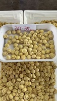 Champignons de haute qualité en gros, frais et conservés dans de la saumure, en fûts plastiques pour l'approvisionnement de l'industrie alimentaire