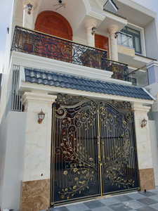 Puerta de Hierro Forjado Arquitectónica de Nuevo Diseño con Acabado en Cobre Negro con Recubrimiento en Polvo y Estructura de Acero - Product Image 2