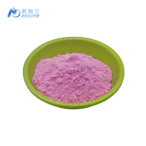 Fabrika toptan fiyat özel etiket ejderha meyve tozu organik Pitaya suyu tozu - Product Image 3