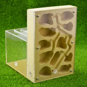 Large size acrylic ant farm nest Quee's formicarium for live ant breeding
