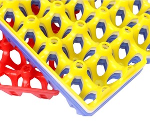 New 30-Cell Chicken <strong>Egg</strong> Packing Tray Plastic <strong>Egg</strong> Tray Plastic <strong>Egg</strong> Trays for 30 <strong>Eggs</strong> - Product Image 5