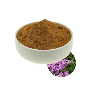 Health Care Supplements Thymus Vulgaris Extract/Thyme Extract