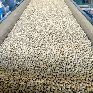 Dây chuyền sản xuất đậu tương, đậu nành, đậu xanh đóng hộp - Product Image 6