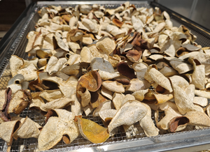 Séchoir à pompe à chaleur pour la séchage des pelures de mandarine, processus de séchage pour conserver les pelures de mandarine - Product Image 6