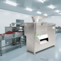 RVS gemotoriseerde dadelpasta- en pulpmachine 380V 250-500kg/u capaciteit CE/ISO gecertificeerd