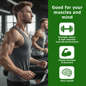 OEM ODM <b>Creatine</b> Powder Muscle Support&Recovery Brain Health Good for Your Muscles and Mind Support Energy <b>Creatine</b> Powder - Product Image 5