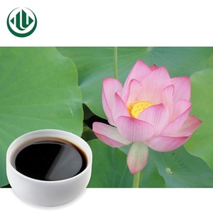 Chất Lỏng Chiết Xuất Từ Lá Sen Tự Nhiên Trực Tiếp Từ Nhà Máy Chất Lỏng Chiết Xuất Từ Lá Sen Xanh Đậm Chất Lỏng Chiết Xuất Từ Lá Sen Để Giảm Cân - Product Image 3