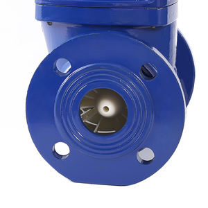 LSO 4064 DN50 2 inç çıkarılabilir kuru arama <span class=keywords><strong>Woltman</strong></span> tipi su sayacı IP68 flanş uçlu OEM özelleştirilebilir ISO 4064 sınıf B 3 yıl - Product Image 6