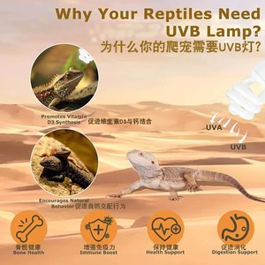 UVB Reptile Light Bulb Compact Fluorescent UV Lamp for Lizard Bearded Dragon - Product Image 2