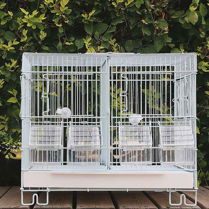 Image showcasing Wholesale Parrot Hibiscus Bird Superposition Partitioned Breeding Bird ...