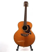 SG-A108BK - Universal Acoustic Electric Musical Instrument