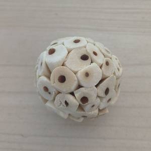 Brinquedo de Bola Solar Tongcao para Papagaios, Acessórios para Pássaros, Tamanhos D4cm/D6cm, Suprimento Importado - Product Image 2