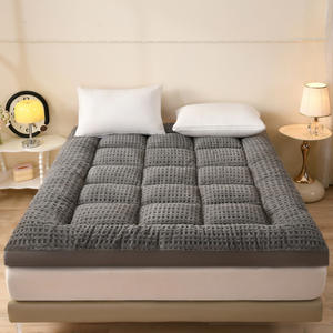 Nouveau matelas coussin multifonctionnel en duvet d'oie et velours, qualité A, toutes saisons, <span class=keywords><strong>sortie</strong></span> d'usine 2026 - Product Image 1