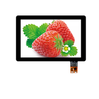 Módulo LCD TFT IPS de 10.1 Pulgadas, 1024*600, Interfaz TTL/USB IIC, Panel Táctil Capacitivo de 10.1 Pulgadas, OEM
