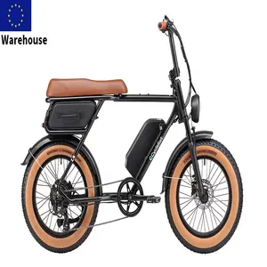 中国供应商欧盟仓库20英寸胖轮胎Ebike速度Pedelec成人48V 20Ah 750W批发自行车电动自行车