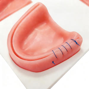 Modèle de suture buccale professionnel DARHMMY - Pratique des compétences de suture des gencives et des tissus parodontaux pour la <span class=keywords><strong>formation</strong></span> dentaire - Product Image 4