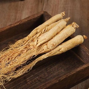 Racine de Ginseng Séchée 100% Naturelle Sans Soufre Certifiée GMP Vente en Gros en Vrac Origine Anhui pour Extrait de Plantes Mondial <span class=keywords><strong>Ren</strong></span> <span class=keywords><strong>Shen</strong></span> - Product Image 2