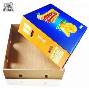 Custom Good Quality Reinforced Corrugated Dragon Fruit Packaging Box