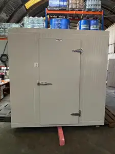Chambre froide de viande marchant dans la salle d'entreposage frigorifique de congélateur