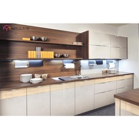 Meuble sous-évier en acrylique haute brillance |   Design moderne |   Cuisine d'appartement |   OEM personnalisé