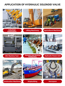 Blince DSG-01-3G2-D24-N1-50 Traktör Hidrolik Direksiyon Valfi Hidrolik Solenoid Valf Bobini 24v 12v Hidrolik Ana Kontrol Valfi - Product Image 6