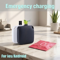 Batterie Portable 1000mah, rechargeable, Image de blagues sexuelles, Mini chargeur Portable universel une fois pour Smartphone