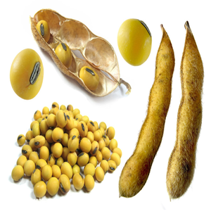 Kualitas tinggi standar GMP kualitas makanan ekstrak kedelai Ekstrak kacang kedelai Isoflavone - Product Image 2