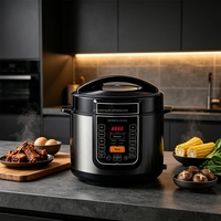 Autocuiseur Électrique Haute Efficacité avec Préréglages Multiples, Cuisson Rapide, Idéal pour la Maison et les Familles, Commande en Gros