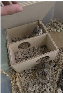 Fabrika özel ahşap küçük evcil Woodland ev habitatları çok odacıklı <span class=keywords><strong>Hamster</strong></span> evi <span class=keywords><strong>Hamster</strong></span> <span class=keywords><strong>Hamster</strong></span> <span class=keywords><strong>Hamster</strong></span> Gerbils fareler için labirent - Product Image 4