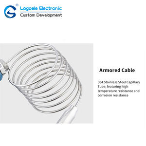 एलसीडी डिस्प्ले सबमर्सिबल वाटर लेवल गेज जांच एनालॉग 4-20 मा संक्षारक तरल स्तर सेंसर - Product Image 2