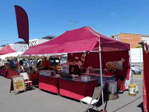 आउटडोर 10x15ft वाटरप्रूफ सुंदर कस्टम लोगो रंगीन कैनोपी गज़ेबो फोल्डेबल व्यापार दिखाता है - Product Image 3