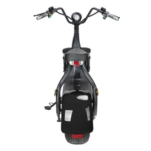 2024 eec coc omologati citycoco scooter elettrico 3000w 2 ruote pneumatico grasso <span class=keywords><strong>gr</strong></span> m1 smart moto per adulti eu motore del magazzino - Product Image 6