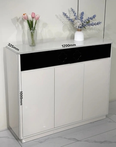 Modern White <b>Shoe</b> <b>Rack</b> Cabinet Wooden <b>Storage</b> Console with Black Front Panel Freestanding Entryway Organizer for Home - Product Image 3