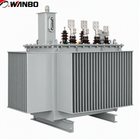 Wanbo-428 Wanbo S11 315kVA 3 Faz Yağlı Tip Güç Trafosu 10kV 0.4kV Dağıtım İçin