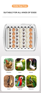 Wonegg Hot Bán 35 điều khiển cho hoàn toàn tự động trứng lồng ấp cho nở trứng gà - Product Image 3