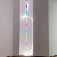 Tube lumineux SPI Chasing RGB 25mm 360 ° Éclairage 3D flexible SK6812, bande néon RGB colorée, application/télécommande pour la décoration de bar/discothèque