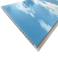 Panel de Pared con Diseño de Cielo Azul y Nubes, 250 mm de Ancho, Laminado, con Ranura y Lengüeta, Techo de PVC