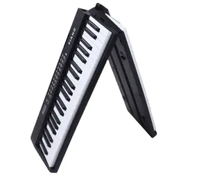 Musical Instrument Portable Foldable Multifunctional Electronic Organ Piano Keyboard Chord Keyboard