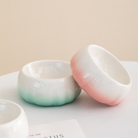 Assiette jetable en céramique simple et moderne pour chat et chien pour servir de la nourriture
