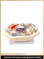 Modelo de Célula Animal, Anatomía Microscópica, Membrana Celular, Citoplasma, Núcleo, Mitochondria, Ciencia Médica, Anatomía, China